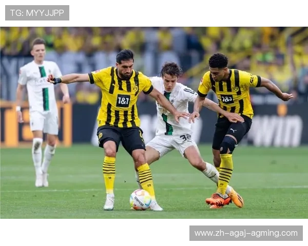 德甲球队波鸿巧vs多特：德甲波鸿队与多特蒙德队的经典对决