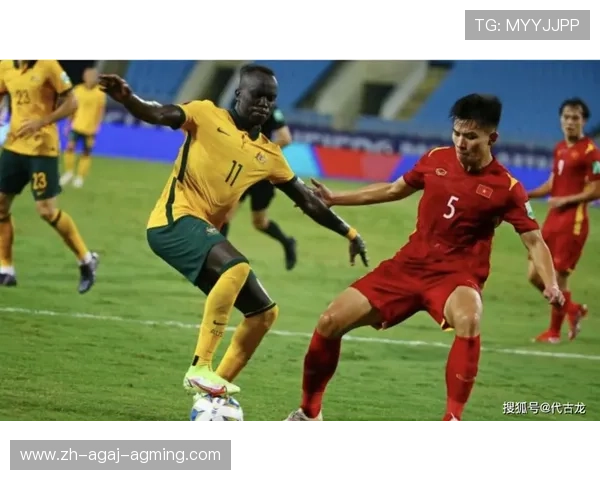 火箭队吧的球迷互动活跃度如何社区文化对球队支持有哪些帮助