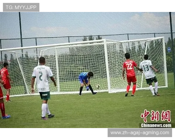 足球青训与篮球思维碰撞董老师CBA观察手记带给我们的深刻启示 足球青训与篮球思维碰撞董老师CBA观察手记带给我们的深刻启示